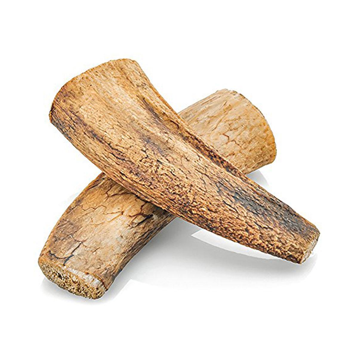 Water Buffalo Horn Core Dog Chew with Same Day Shipping | BaxterBoo